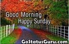 Funny Sunday Status In Hindi - Happy Sunday Status Video Free Download -  